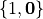 \{ 1, \boldsymbol{0} \}