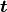 \boldsymbol{t}