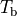 T_\mathrm{b}