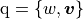 \mathrm{q}=\{ w,\boldsymbol{v} \}