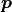 \boldsymbol{p}